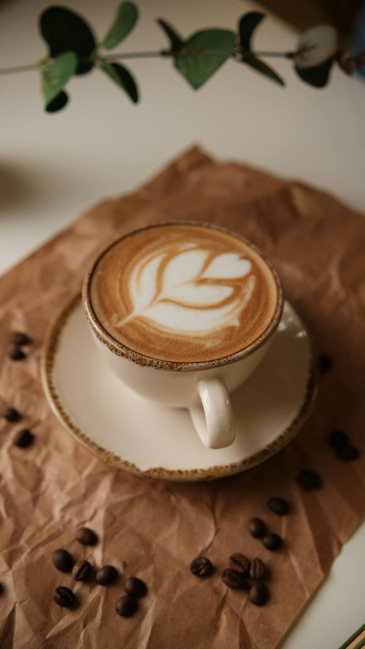 biohacking kawy i suplementy