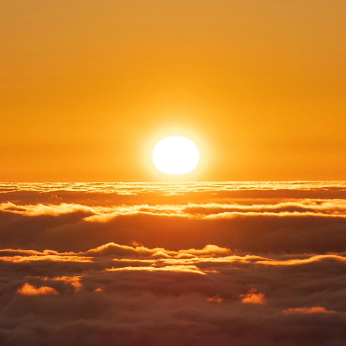 witamina D a cholesterol słońce naturalne źródło