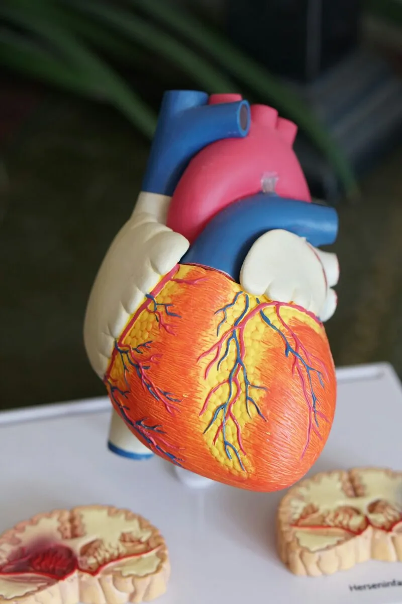Patogeneza nieszczelnego jelita i diagnostyka molekularna