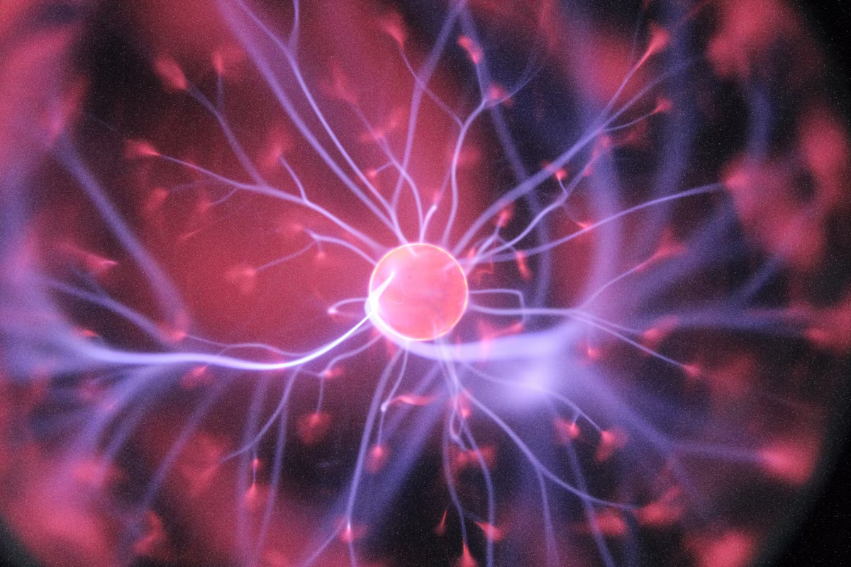 biohacking reset mózgu techniki